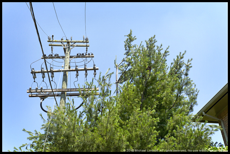 electricity tree rangefound